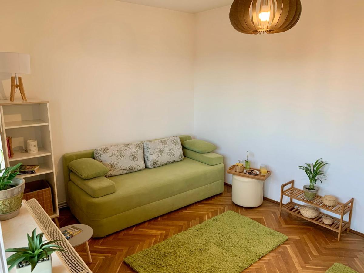 Viktory Apartment Brasov Bagian luar foto