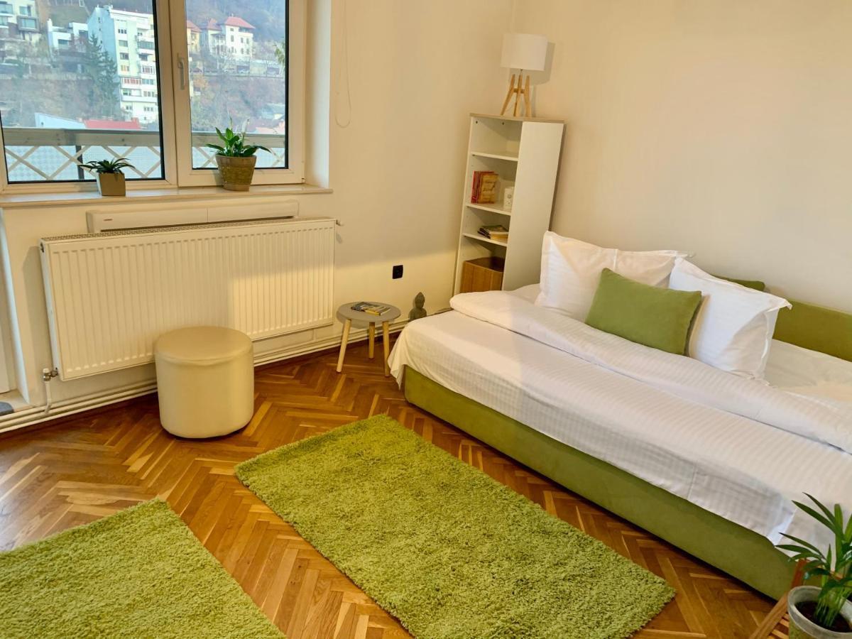 Viktory Apartment Brasov Bagian luar foto