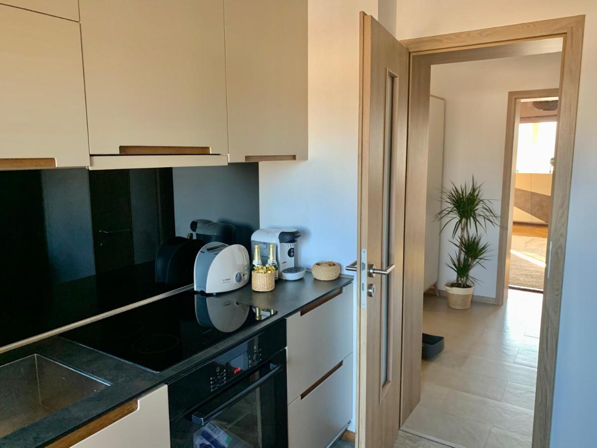 Viktory Apartment Brasov Bagian luar foto