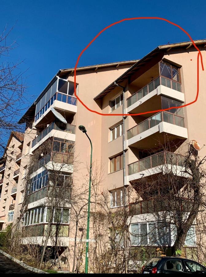 Viktory Apartment Brasov Bagian luar foto